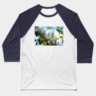 Spring is All Around in Southern California! Baseball T-Shirt